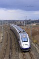 TGV DAISYE